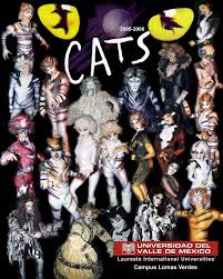 The Broadway Musical CATS was mafia owned, and made the boys downtown a fortune.